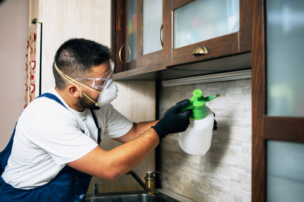 Best Pest Removal Services  in Wallingford Center, CT